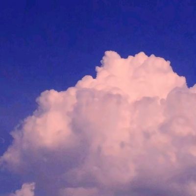 leyu·乐鱼(中国)体育app下载