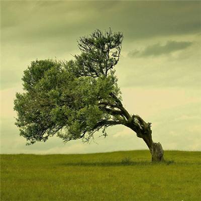 kaiyun体育全站截图