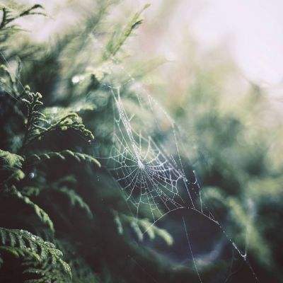 一码一肖100准资料应用手机app下载